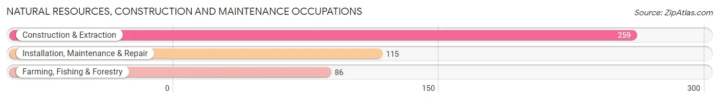 Natural Resources, Construction and Maintenance Occupations in Zip Code 56364