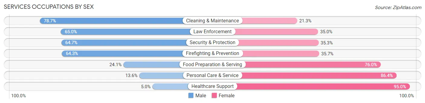 Services Occupations by Sex in Zip Code 56364