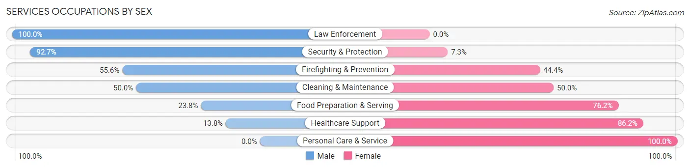 Services Occupations by Sex in Zip Code 56368
