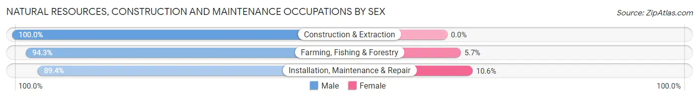 Natural Resources, Construction and Maintenance Occupations by Sex in Zip Code 56373