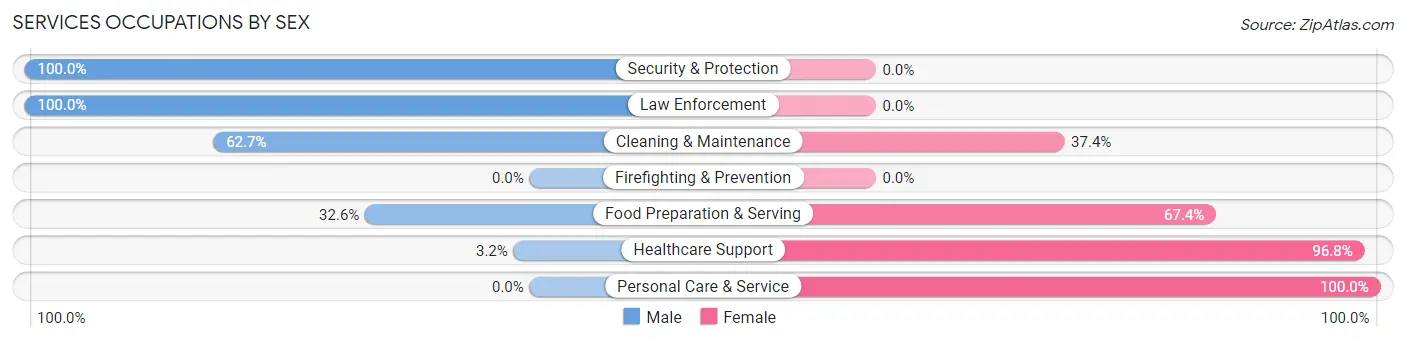 Services Occupations by Sex in Zip Code 56373