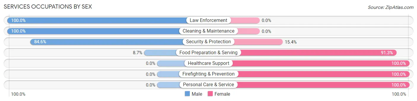 Services Occupations by Sex in Zip Code 56375