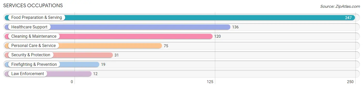 Services Occupations in Zip Code 56378