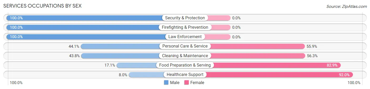 Services Occupations by Sex in Zip Code 56435