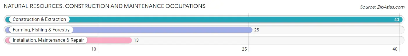 Natural Resources, Construction and Maintenance Occupations in Zip Code 56440