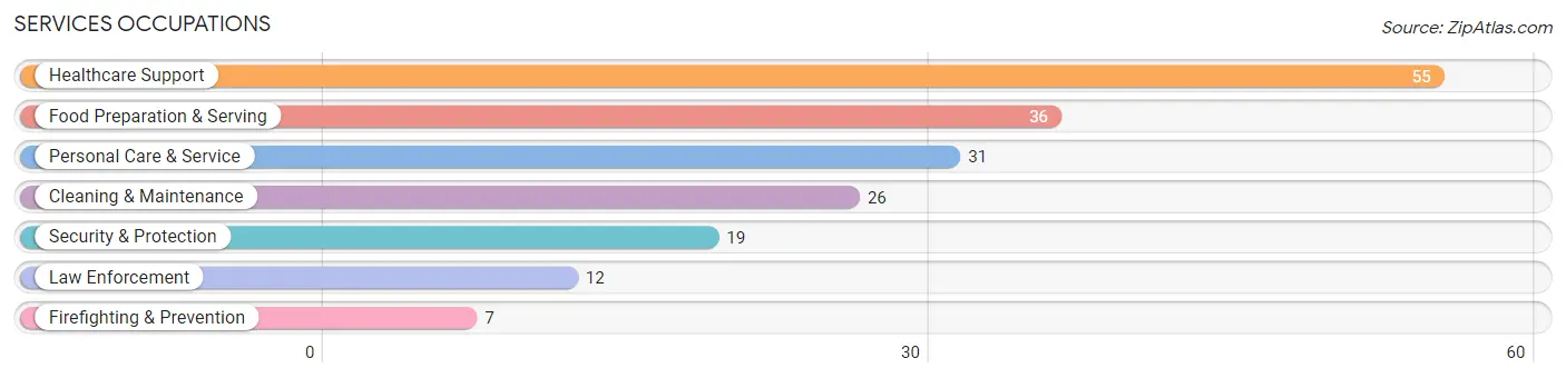 Services Occupations in Zip Code 56449