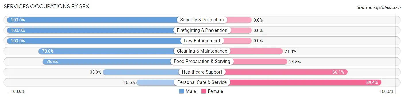 Services Occupations by Sex in Zip Code 56455