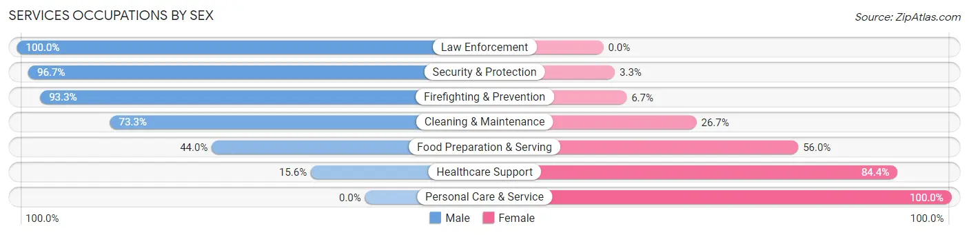 Services Occupations by Sex in Zip Code 56468