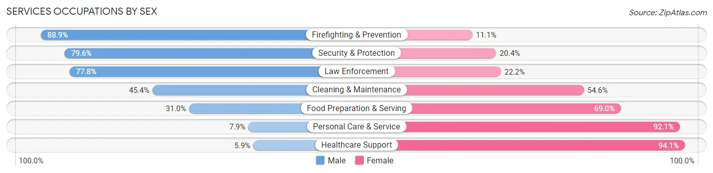Services Occupations by Sex in Zip Code 56470