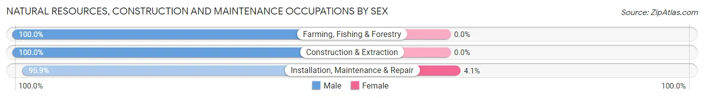 Natural Resources, Construction and Maintenance Occupations by Sex in Zip Code 56473