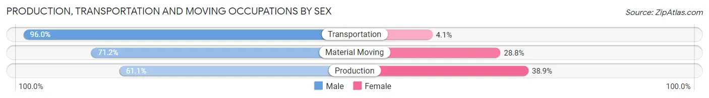 Production, Transportation and Moving Occupations by Sex in Zip Code 56481