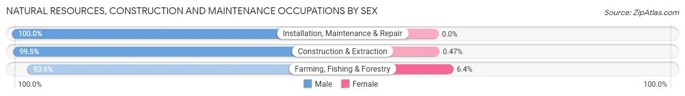 Natural Resources, Construction and Maintenance Occupations by Sex in Zip Code 56482
