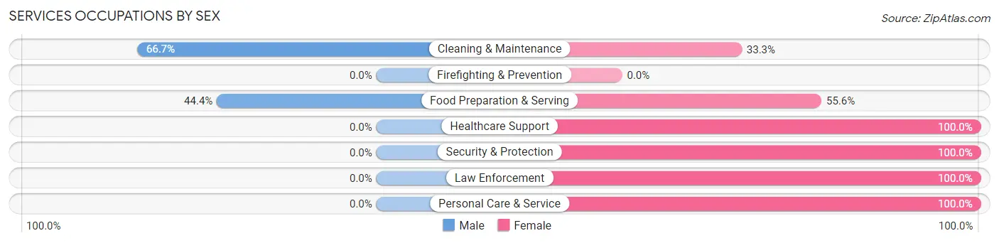 Services Occupations by Sex in Zip Code 56516