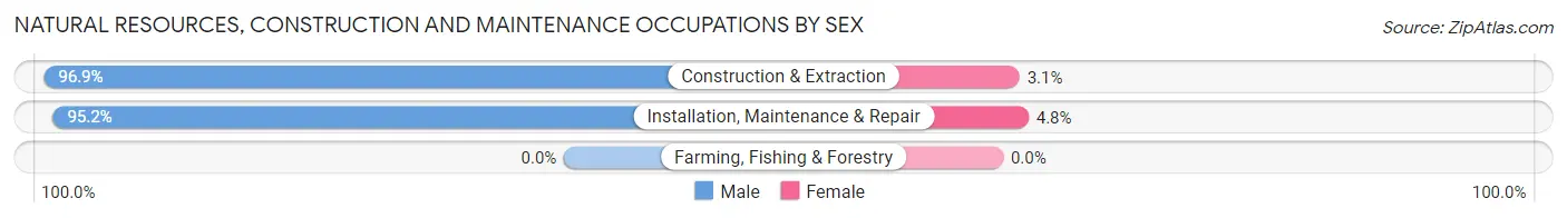 Natural Resources, Construction and Maintenance Occupations by Sex in Zip Code 56534