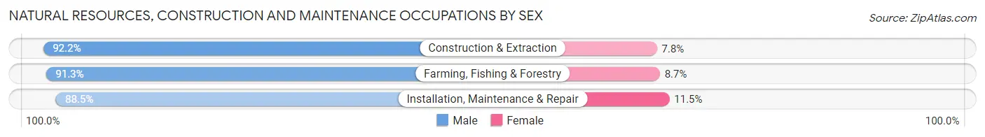 Natural Resources, Construction and Maintenance Occupations by Sex in Zip Code 56540
