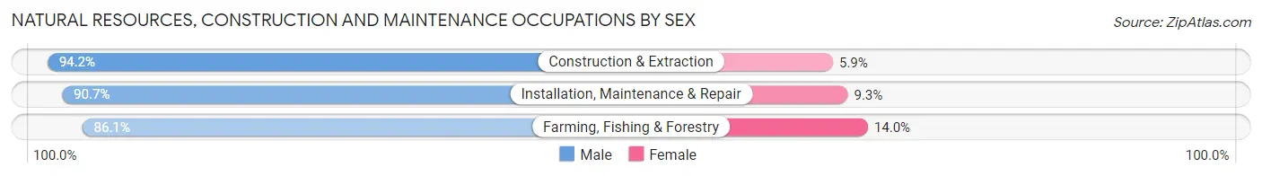 Natural Resources, Construction and Maintenance Occupations by Sex in Zip Code 56544