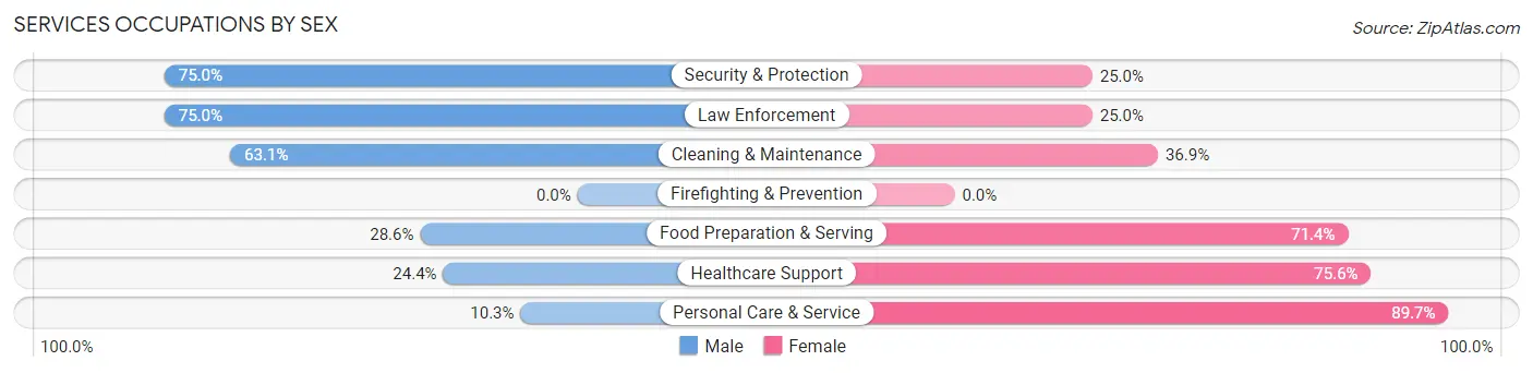 Services Occupations by Sex in Zip Code 56551