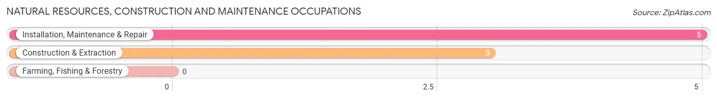 Natural Resources, Construction and Maintenance Occupations in Zip Code 56553