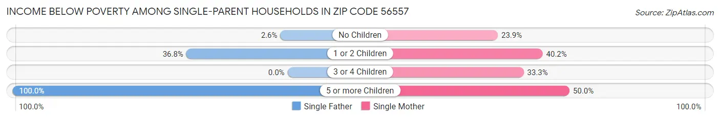 Income Below Poverty Among Single-Parent Households in Zip Code 56557