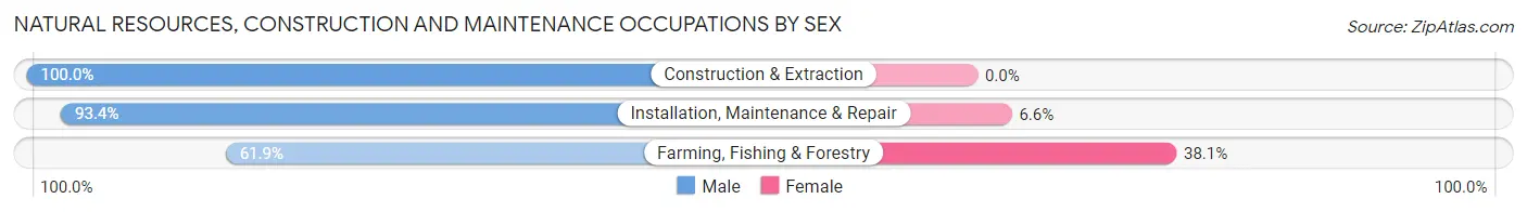 Natural Resources, Construction and Maintenance Occupations by Sex in Zip Code 56557