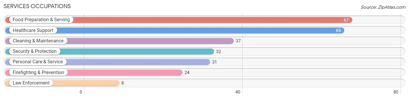 Services Occupations in Zip Code 56557