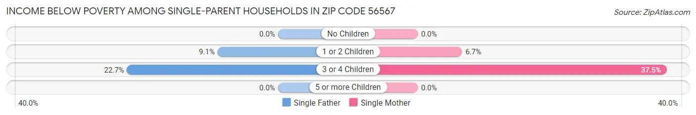 Income Below Poverty Among Single-Parent Households in Zip Code 56567