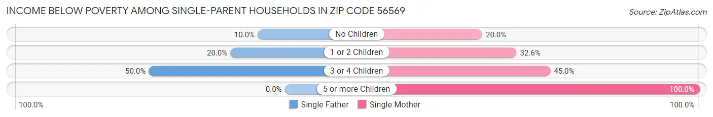 Income Below Poverty Among Single-Parent Households in Zip Code 56569