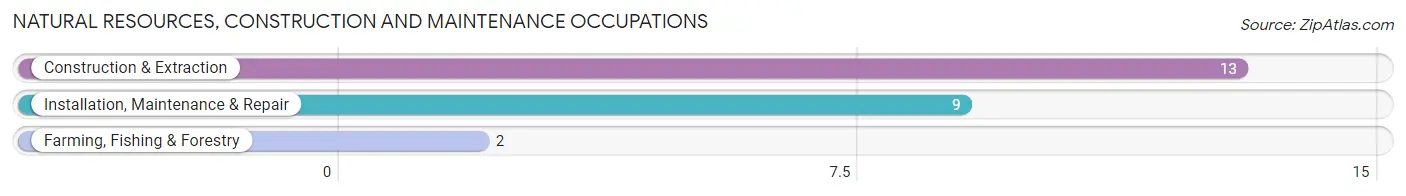 Natural Resources, Construction and Maintenance Occupations in Zip Code 56575