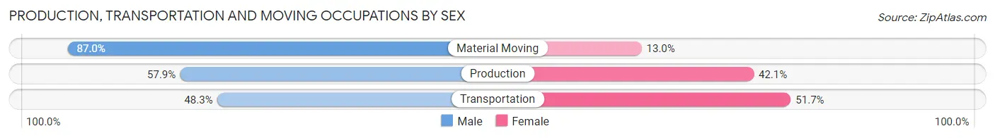 Production, Transportation and Moving Occupations by Sex in Zip Code 56579