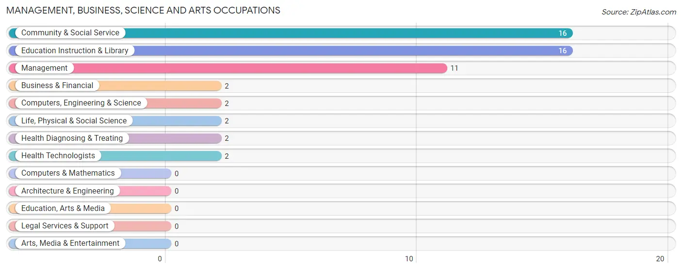 Management, Business, Science and Arts Occupations in Zip Code 56581