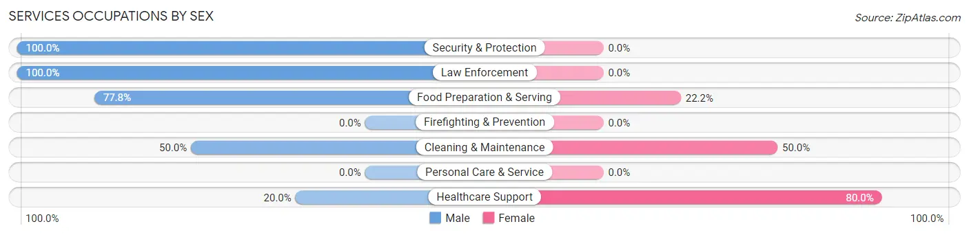 Services Occupations by Sex in Zip Code 56588
