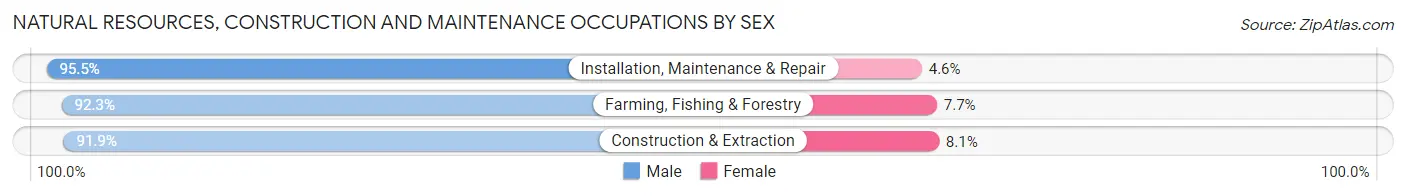 Natural Resources, Construction and Maintenance Occupations by Sex in Zip Code 56589