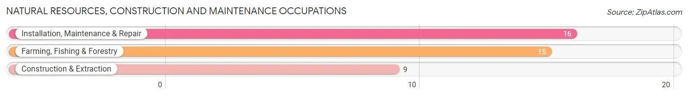 Natural Resources, Construction and Maintenance Occupations in Zip Code 56594