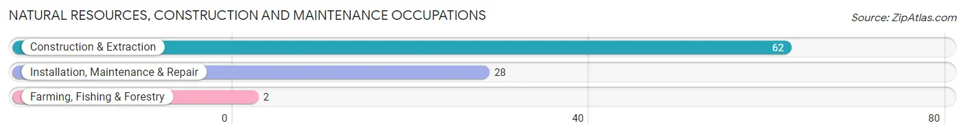 Natural Resources, Construction and Maintenance Occupations in Zip Code 56628