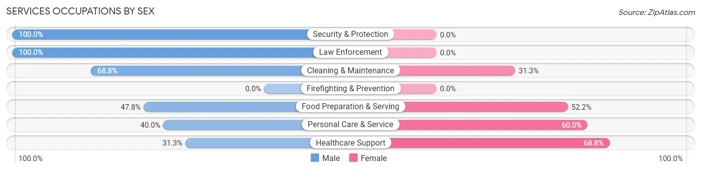 Services Occupations by Sex in Zip Code 56628