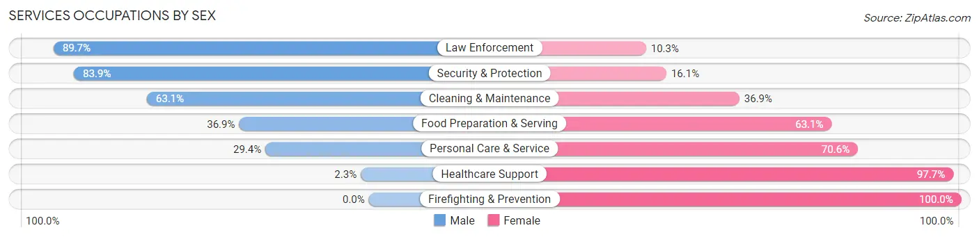 Services Occupations by Sex in Zip Code 56636