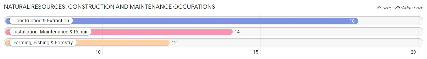 Natural Resources, Construction and Maintenance Occupations in Zip Code 56639