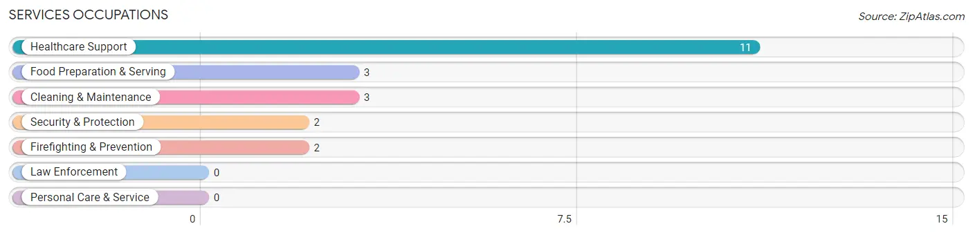 Services Occupations in Zip Code 56641