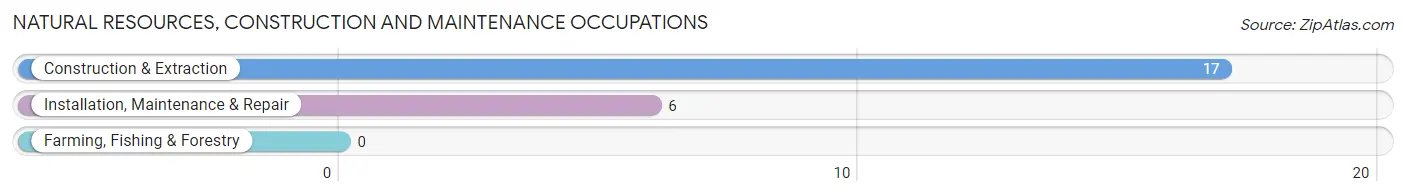 Natural Resources, Construction and Maintenance Occupations in Zip Code 56662