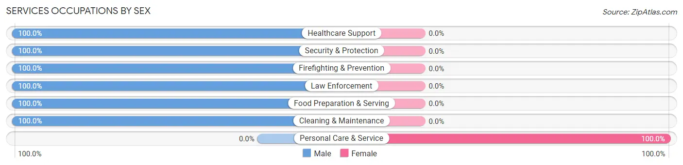 Services Occupations by Sex in Zip Code 56670