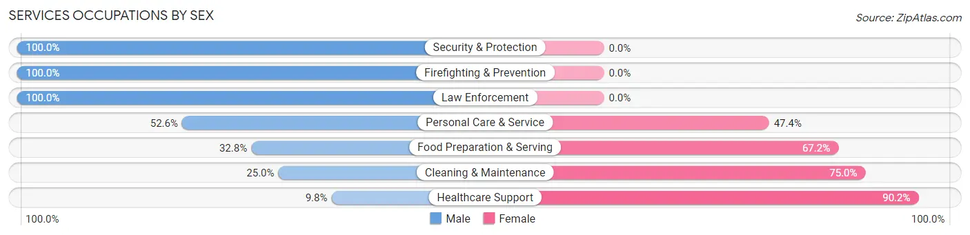 Services Occupations by Sex in Zip Code 56672