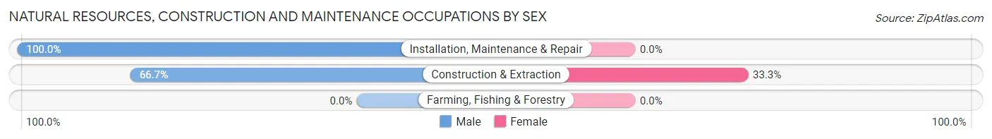 Natural Resources, Construction and Maintenance Occupations by Sex in Zip Code 56681