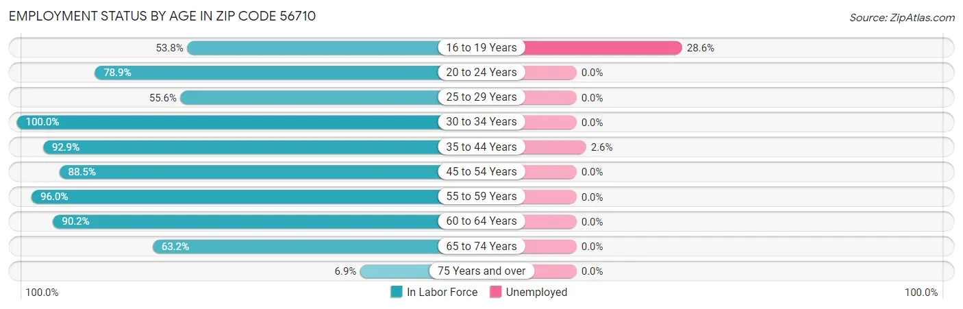 Employment Status by Age in Zip Code 56710
