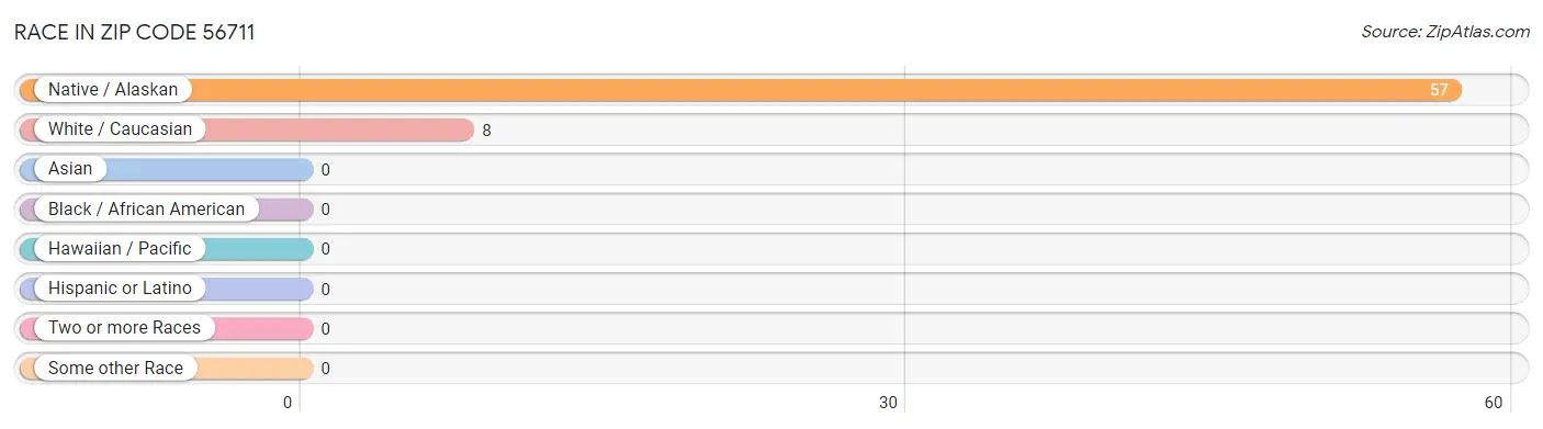 Race in Zip Code 56711