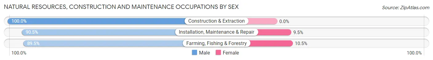 Natural Resources, Construction and Maintenance Occupations by Sex in Zip Code 56714