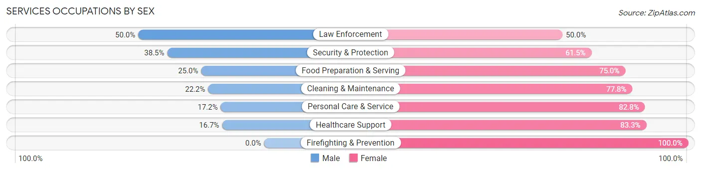 Services Occupations by Sex in Zip Code 56728