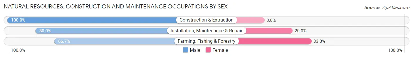 Natural Resources, Construction and Maintenance Occupations by Sex in Zip Code 56735