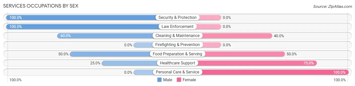 Services Occupations by Sex in Zip Code 56742