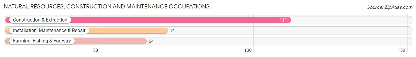 Natural Resources, Construction and Maintenance Occupations in Zip Code 56751