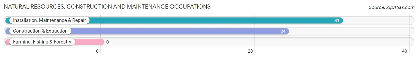 Natural Resources, Construction and Maintenance Occupations in Zip Code 57010